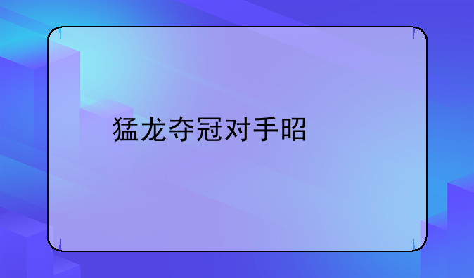 猛龙夺冠对手是谁