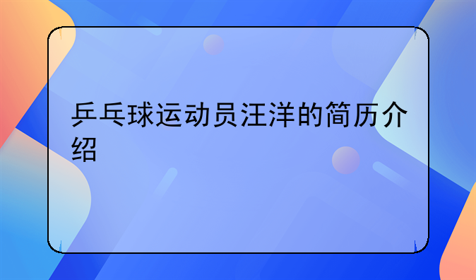 乒乓球运动员汪洋的简历介绍