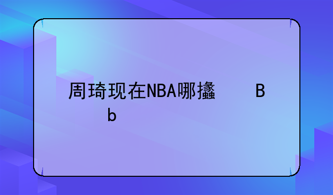 周琦现在NBA哪支球队