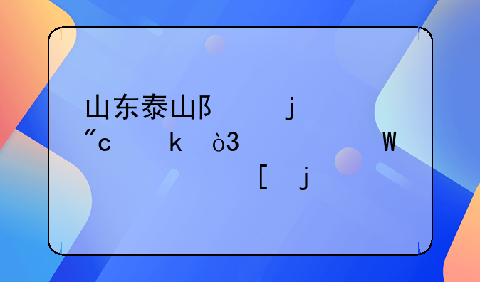 山东泰山队的段刘愚，如何评价他的特点？