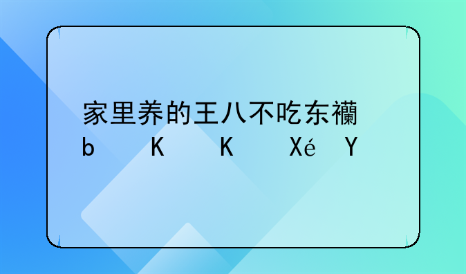 家里养的王八不吃东西是什么原因