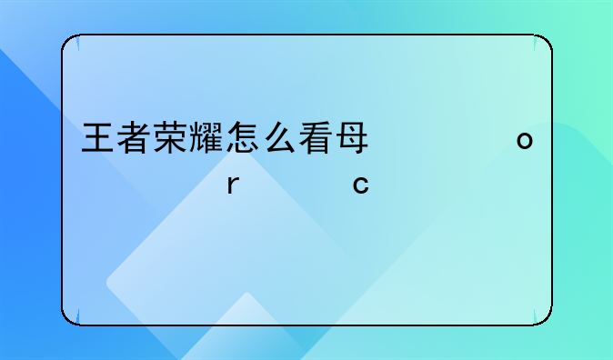 王者荣耀怎么看每个赛季最高段位