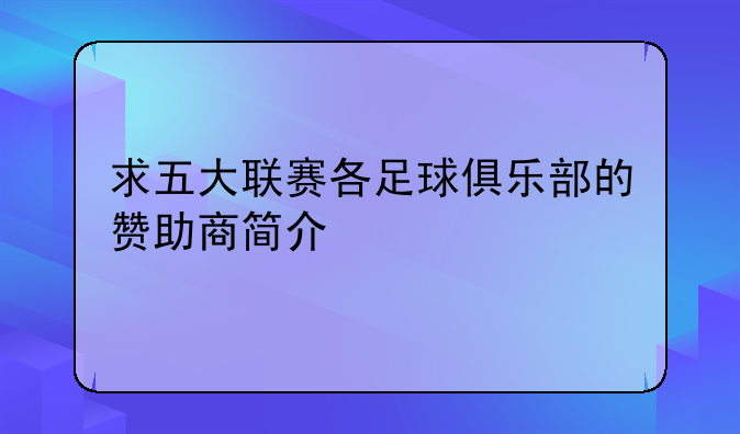 求五大联赛各足球俱乐部的赞助商简介