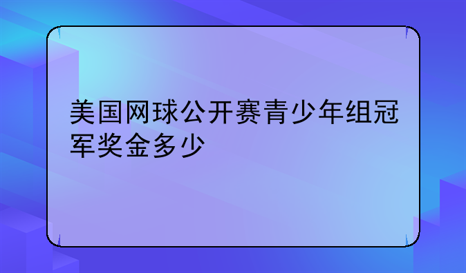 美国网球公开赛青少年组冠军奖金多少