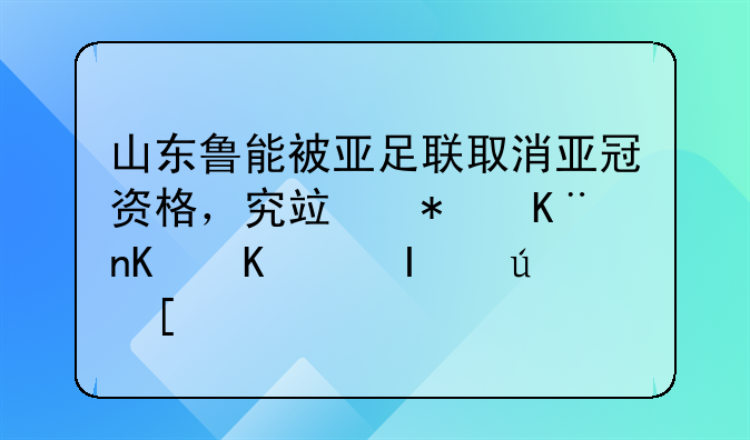 山东鲁能被亚足联取消亚冠资格，究竟犯了什么错误？