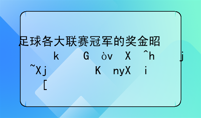 足球各大联赛冠军的奖金是多少？包括欧冠，世界杯？