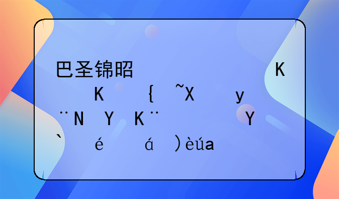 巴圣锦是巴西什么级别的赛事？求详细解释！