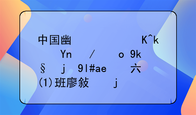 中国广西贵港市达开实验小学六(1)班廖敏的资料